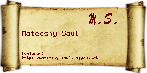 Matecsny Saul névjegykártya